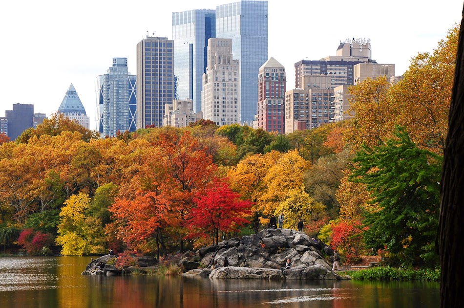 New-York_autumn Autunno a New York