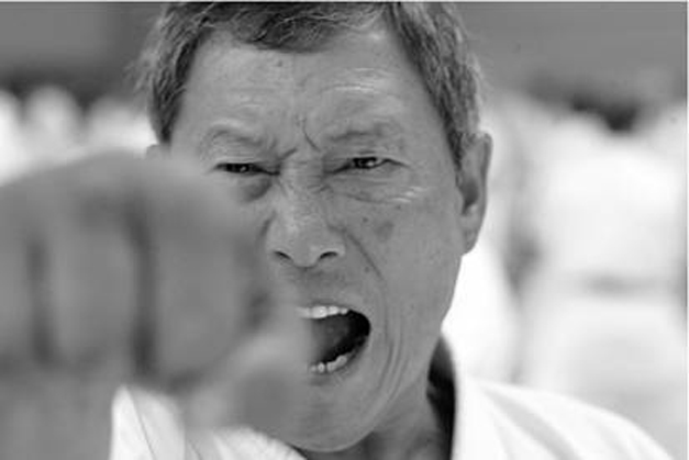 Karate Shokotan Arte Rispetto e Passione – Karate WSKA 2017 Treviso