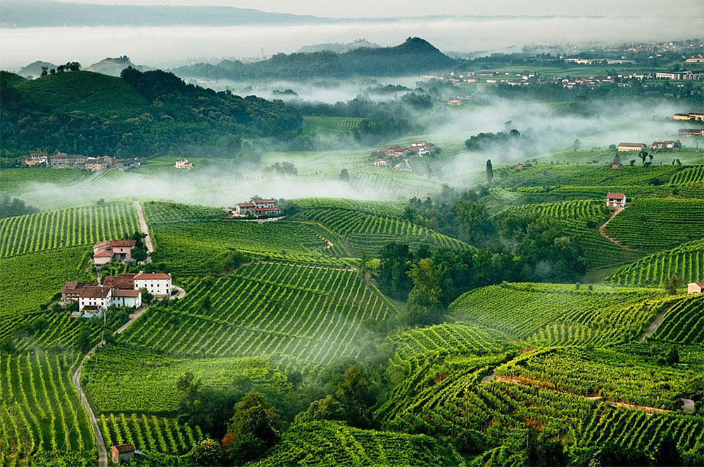 148_ConeglianoValdobbiadeneProsecco_1 Conegliano e le eccellenze del territorio