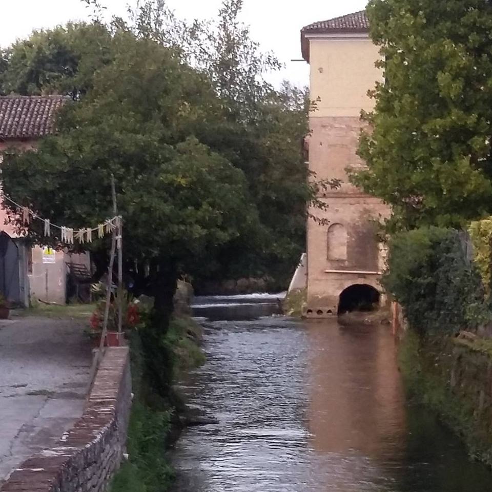nerbon Passeggiata lungo il Sile – il Fiume di Treviso e non solo…