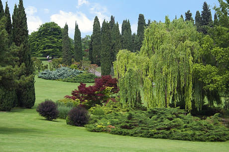 parco-giardino-sigurta-vicino-lago-di-garda Le rose del Parco Sigurtà – Valeggio sul Mincio e Borghetto – Sabato 23 MAGGIO 2019