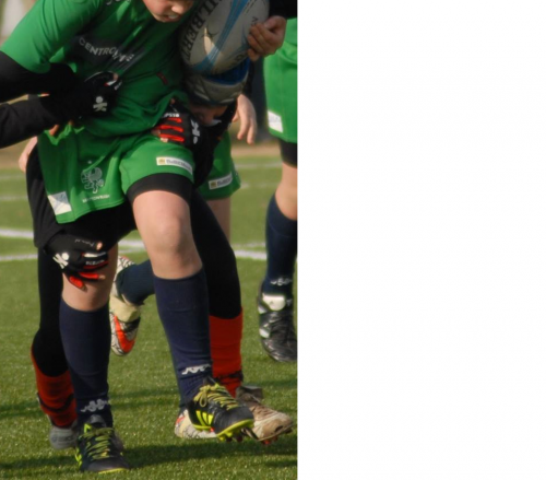 Immagine Booking Hotel e transfer TORNEO DI RUGBY CITTA’ DI TREVISO 2019