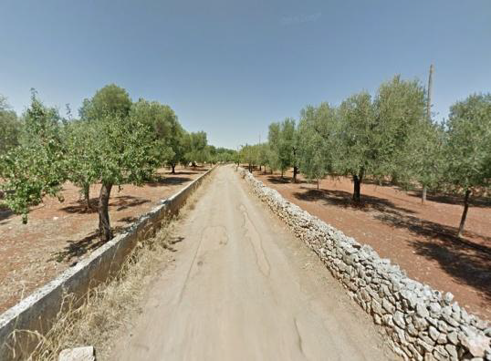 Puglia 26/09 –04/10-2020 Valle d'Itria, Salento e Murgia bike puglia - Puglia 26/09 –04/10-2020 Valle d'Itria, Salento e Murgia
