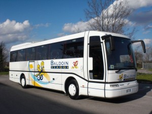 CIMG0729 2 300x225 - CIMG0729-2