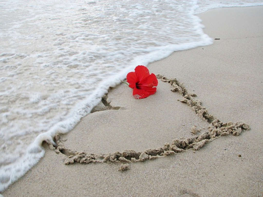 Fiere Matrimonio - Noi pensiamo al Viaggio di Nozze sposi - Fiere Matrimonio - Noi pensiamo al Viaggio di Nozze