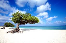 Sposarsi ai Caraibi mare quality group - Sposarsi ai Caraibi