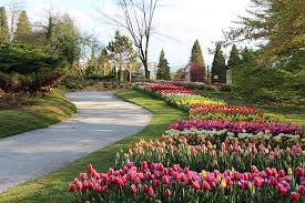 LUBIANA e il Parco Arboretum Aprile/Giugno 2018 lubiana - LUBIANA e il Parco Arboretum Aprile/Giugno 2018
