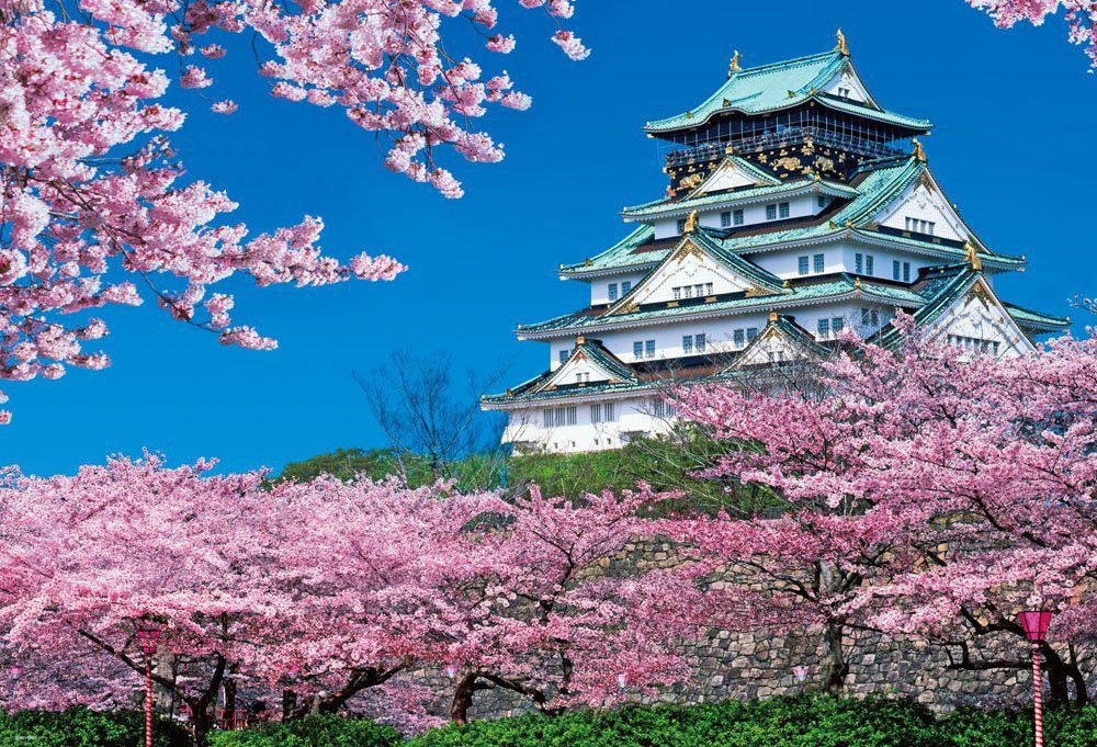 Japan & Samui - Il Tuo Viaggio di nozze osaka - Japan & Samui - Il Tuo Viaggio di nozze