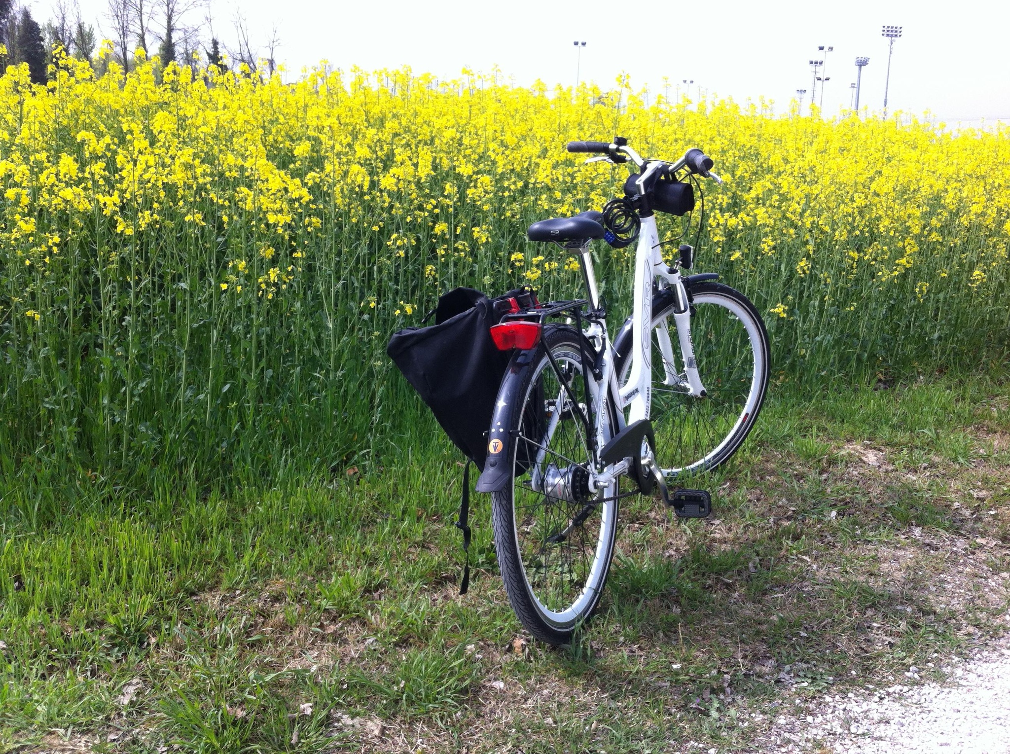 Sile in bike & boat