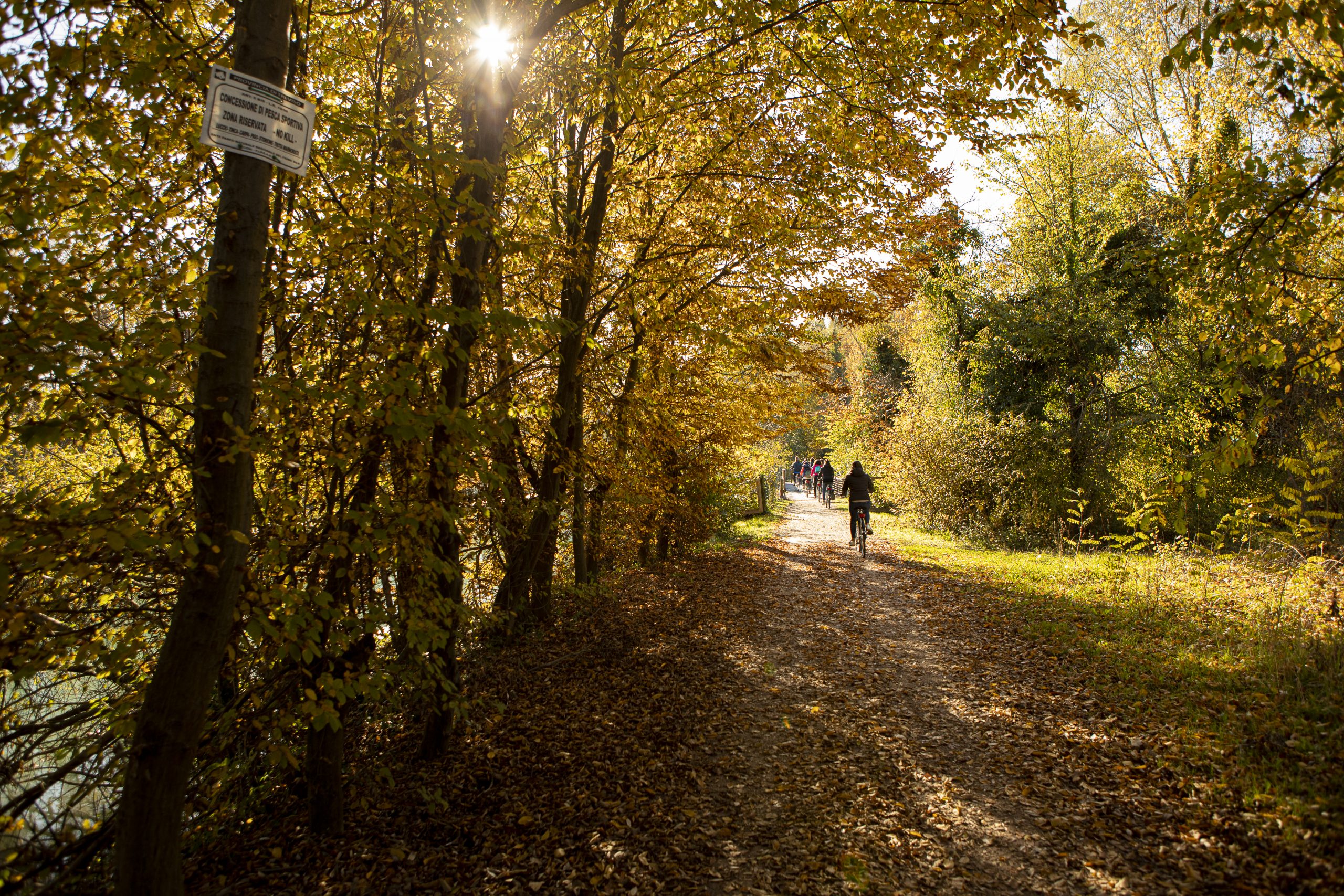 Esperienza in natura Bicicletta lungo Sile