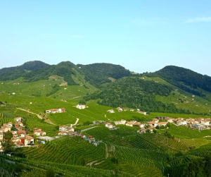 Colline del Prosecco