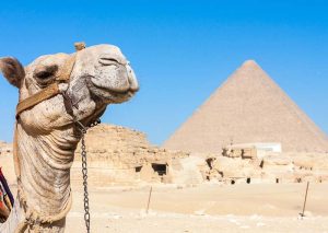 amiciveri egitto website 3 300x213 - Crociera Sul Nilo e Cairo da Bologna - partenze il 17 e 24 febbraio
